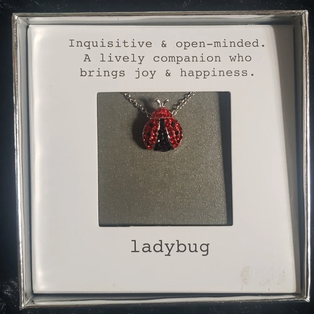 🐞 Necklace - Picture 4 of 4